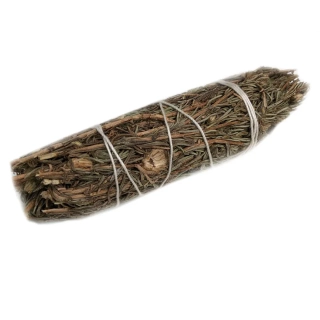 Vykurovací zväzok Šalvia Shasta 10 cm